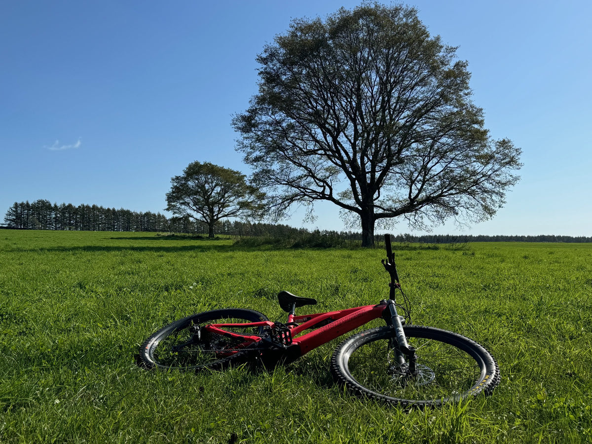 中標津の牧草地に置かれたE-MTBと一本の木