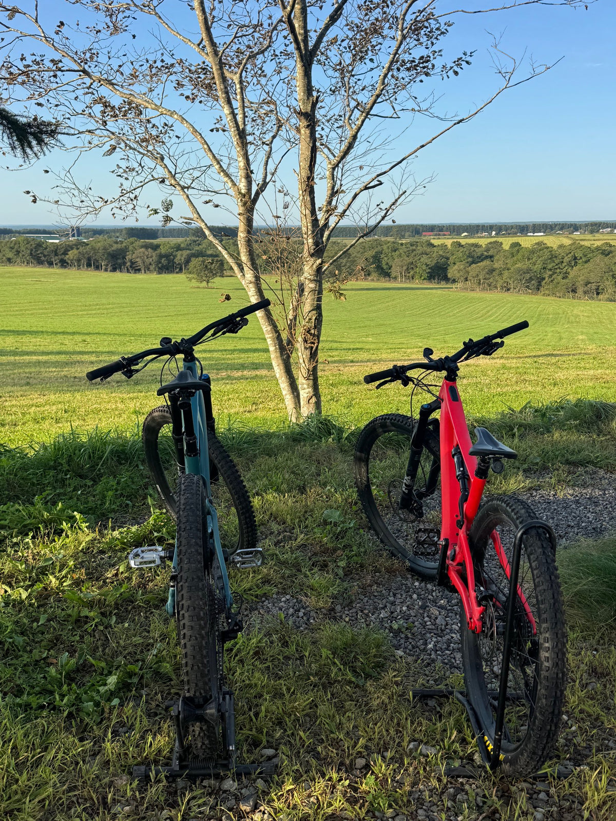 牧草地を見下ろす高台に並ぶE-MTB2台