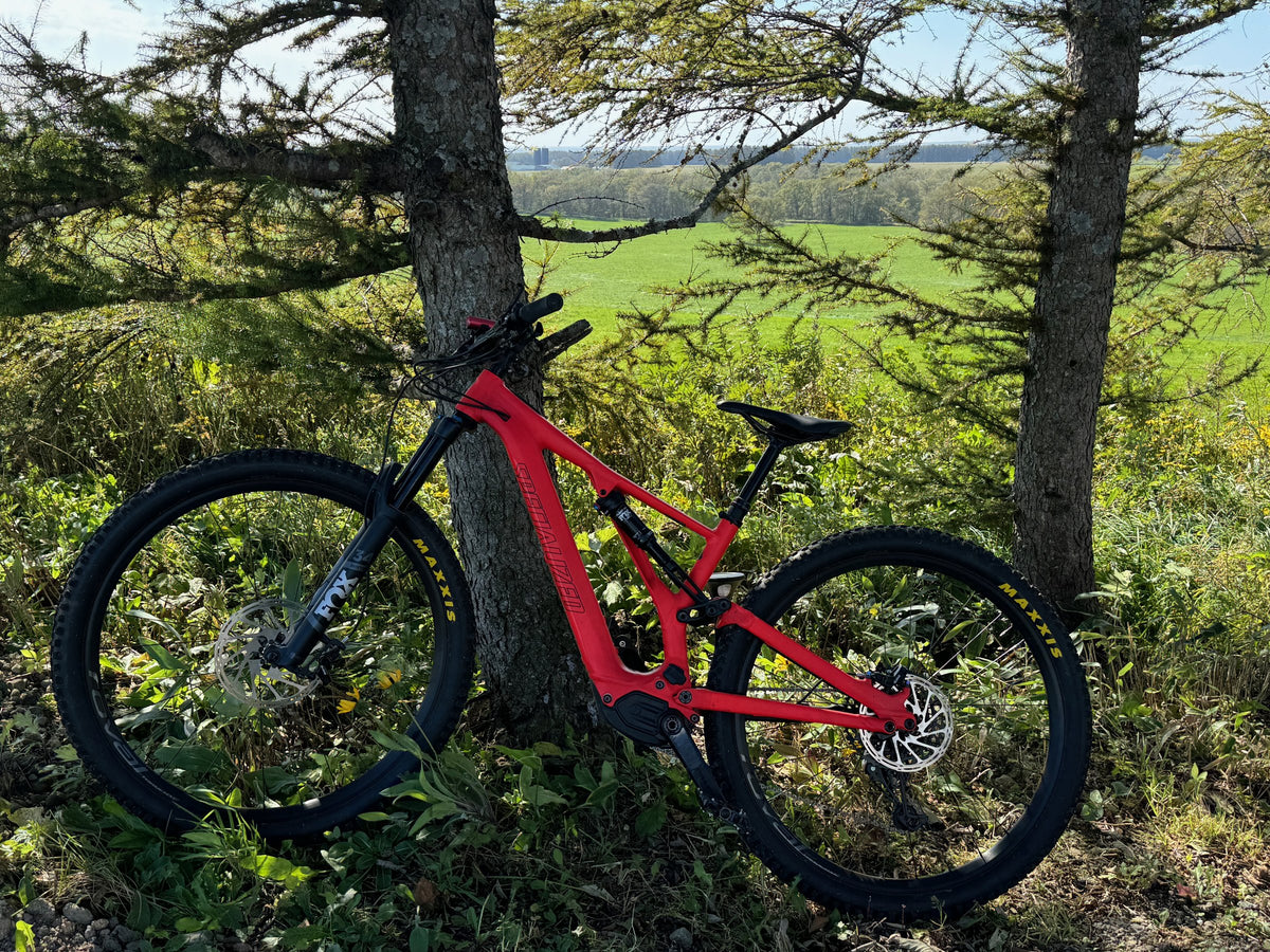 防風林の木に立てかけたE-MTB