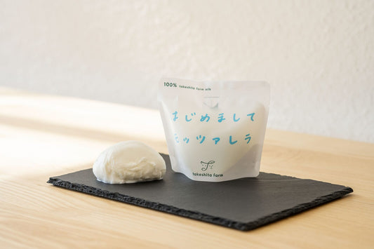 はじめましてモッツァレラ 100g